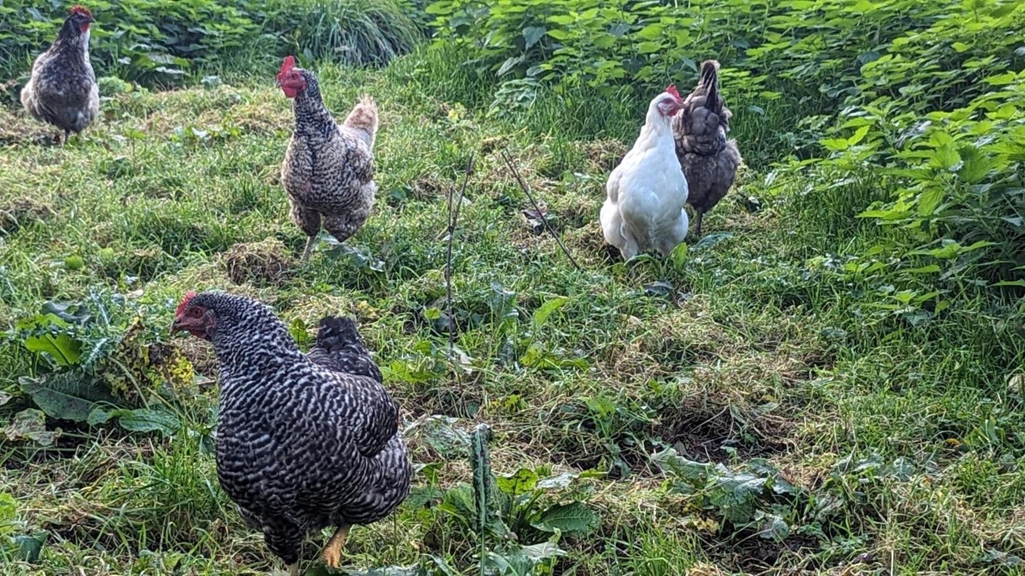 Gite Chez Loupi Épaignes Zewnętrze zdjęcie
