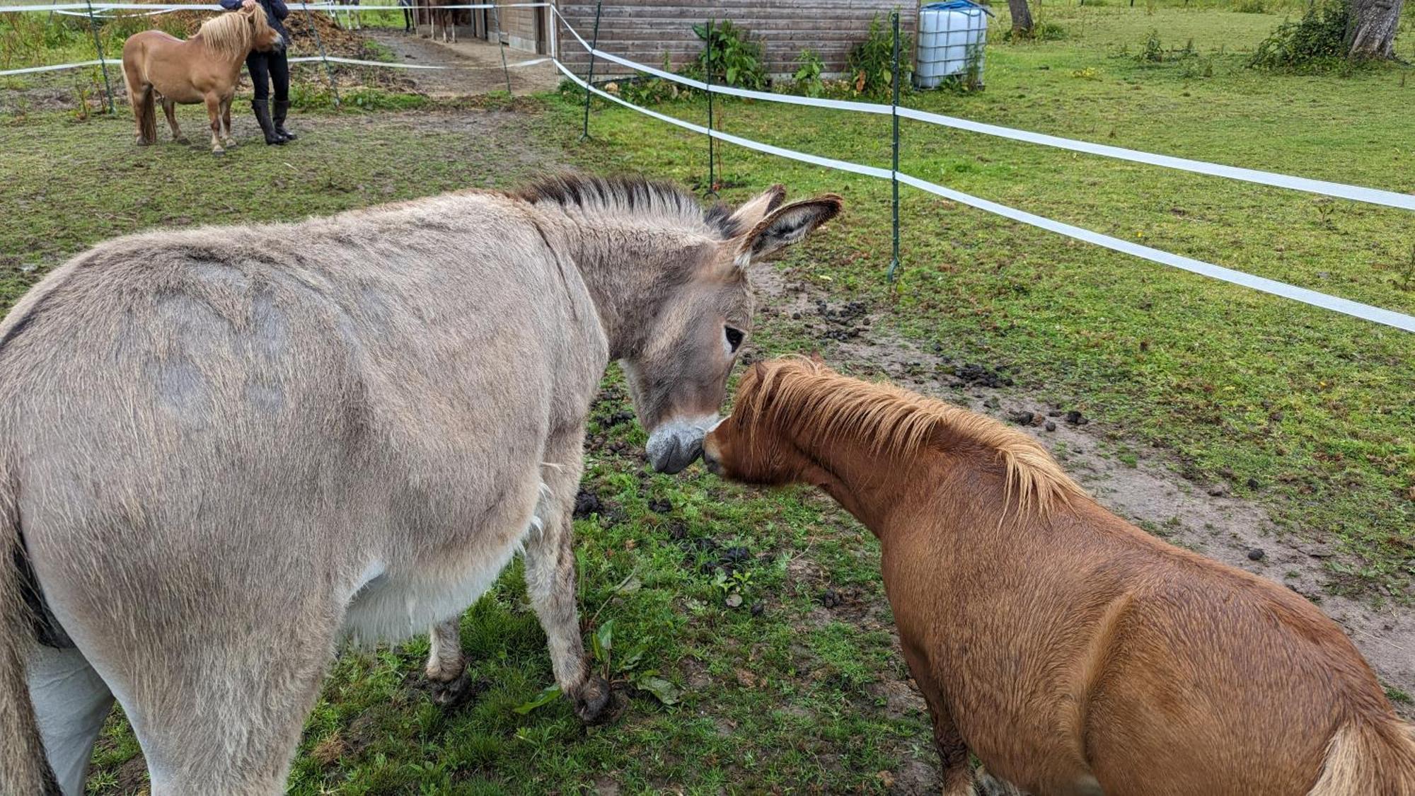 Gite Chez Loupi Épaignes Zewnętrze zdjęcie